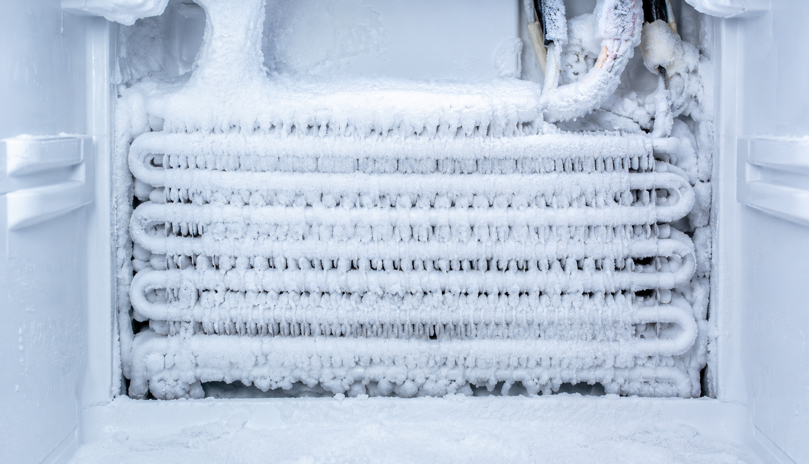 evaporator coils covered in frost buildup inside freezer compartment